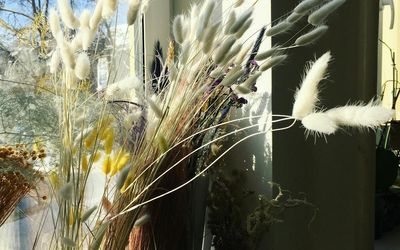 Sunlight falling through window on a calm exercise space